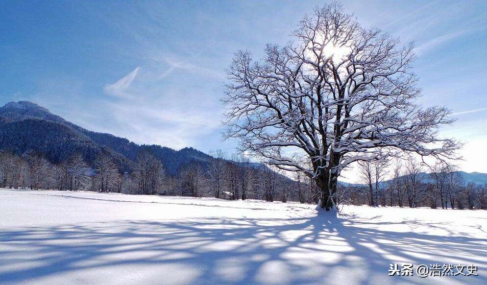 ##大雪节气谁是真正下雪王