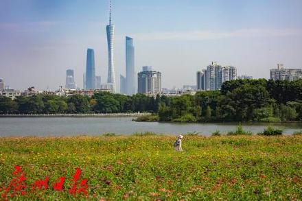 广东受台风和冷空气夹击,究竟是怎么一回事?