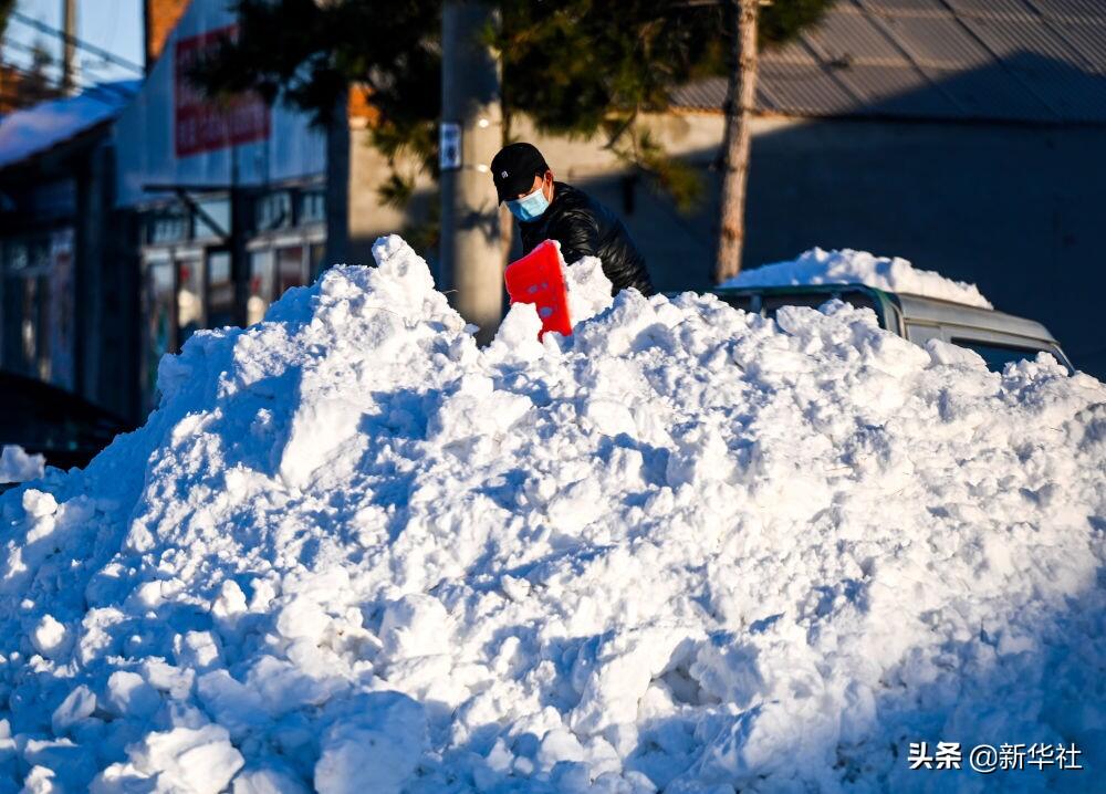 直击内蒙古东部雪情 东北极端暴雪中东北虎会受灾吗