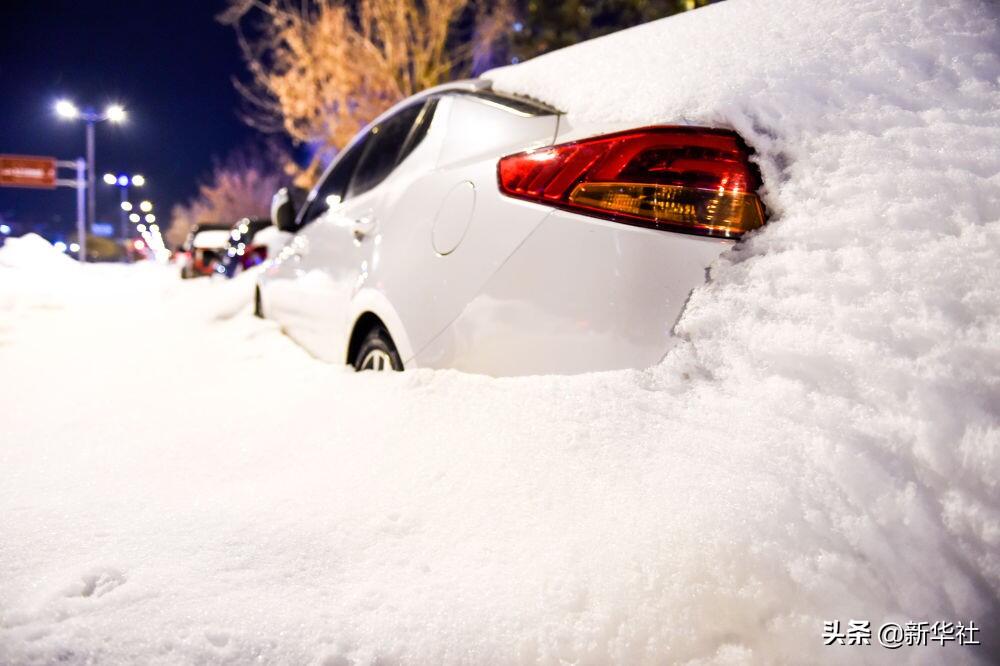 直击内蒙古东部雪情 东北极端暴雪中东北虎会受灾吗