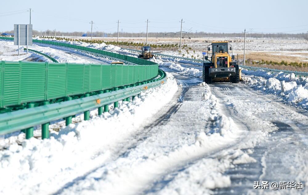 直击内蒙古东部雪情 东北极端暴雪中东北虎会受灾吗