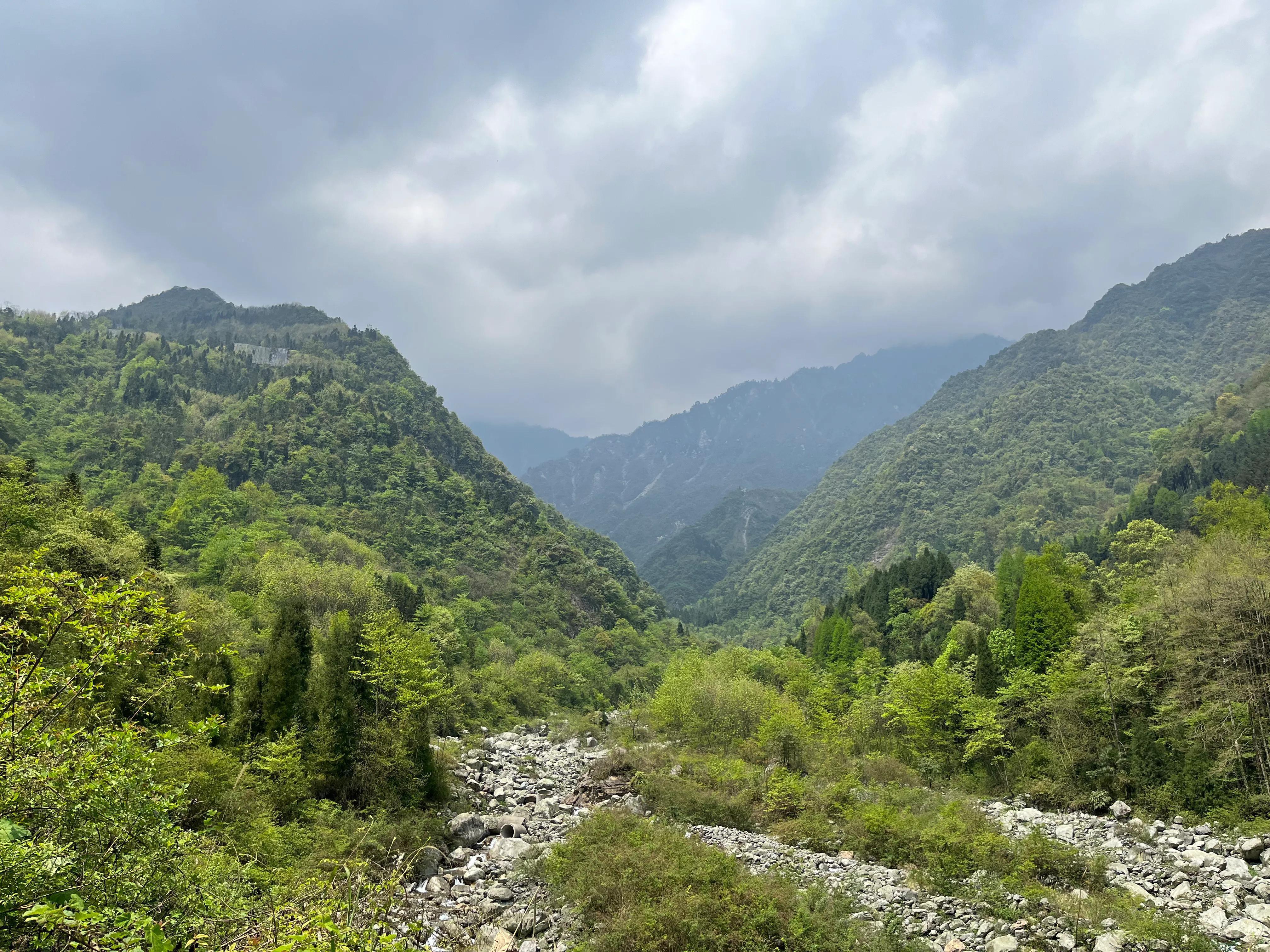 彭州山洪亲历者称跟团游到龙漕沟是怎么回事，关于彭州龙漕沟风景区的新消息。