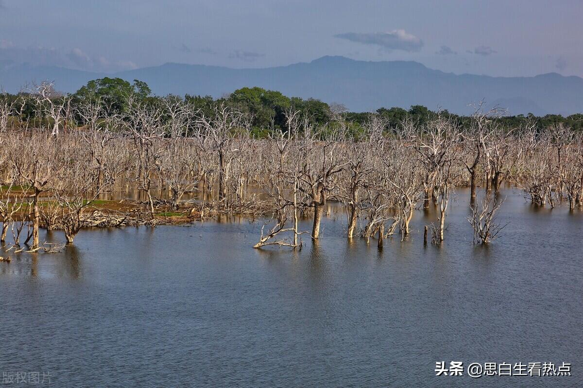 斯里兰卡宣布破产是怎么回事，关于斯里兰卡债务的新消息。