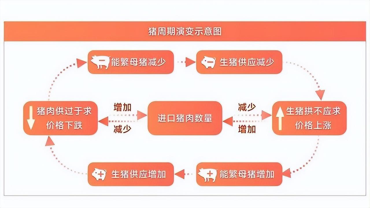 国庆期间猪价“七连涨”,国庆节前猪价能涨吗