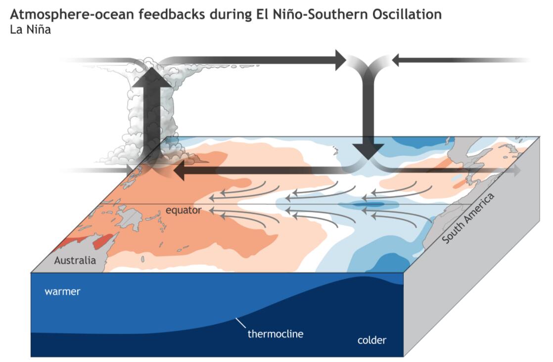 拉尼娜现象是什么,拉尼娜现象是什么意思是冷还是热