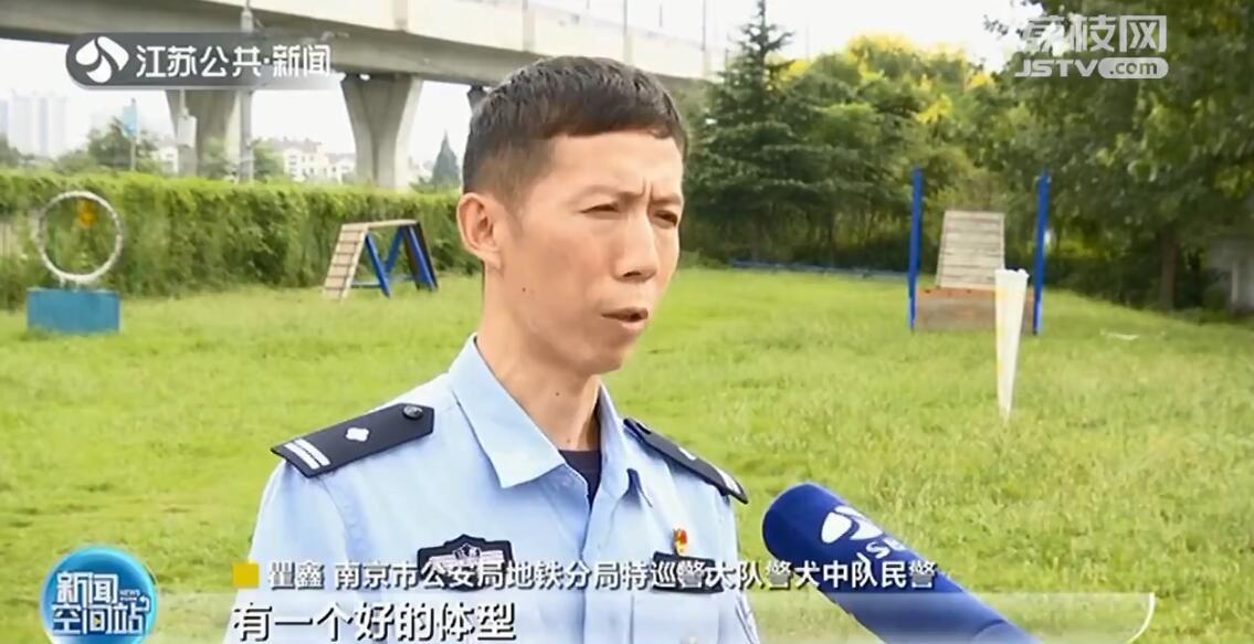 南京地铁超小号警犬国庆上岗,南京地铁 警犬