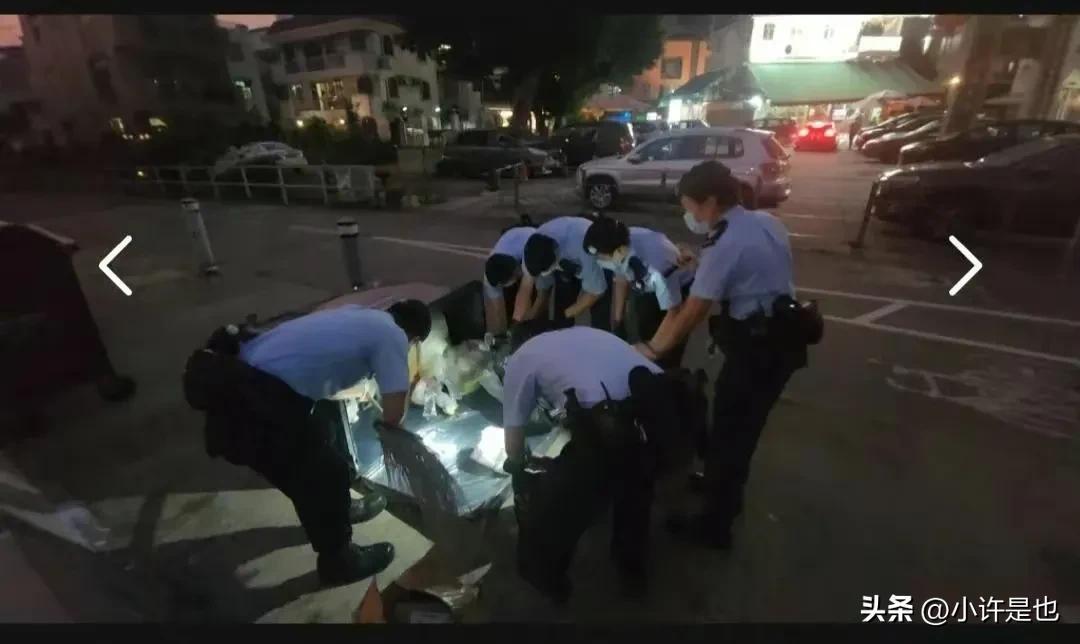 香港警方公布蔡天凤碎尸案细节,究竟是怎么一回事?