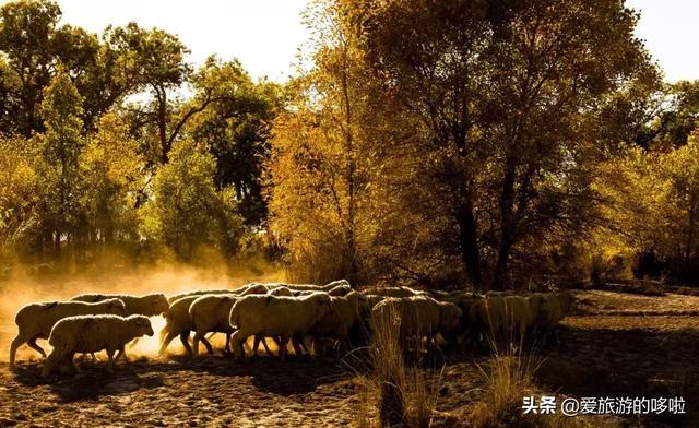 十一旅游人少胜地推荐 国庆旅游冷门又好的地方 国庆节人少景美的地方