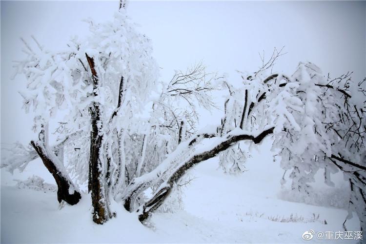 直击重庆、成都下雪,究竟是怎么一回事?