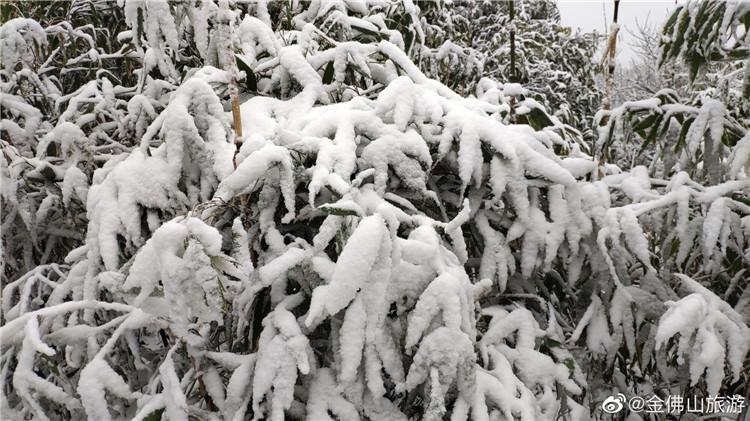 直击重庆、成都下雪,究竟是怎么一回事?