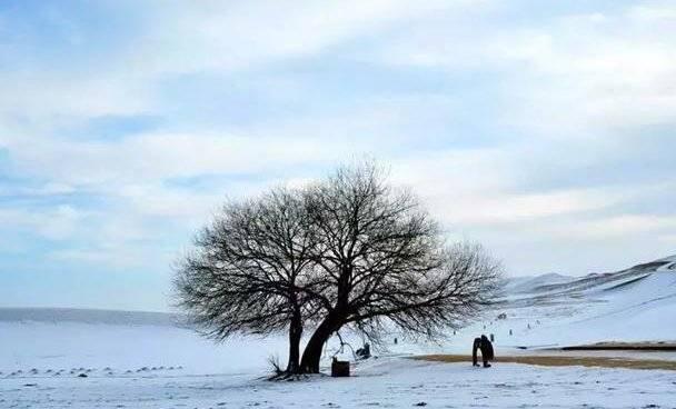 直击重庆、成都下雪,究竟是怎么一回事?