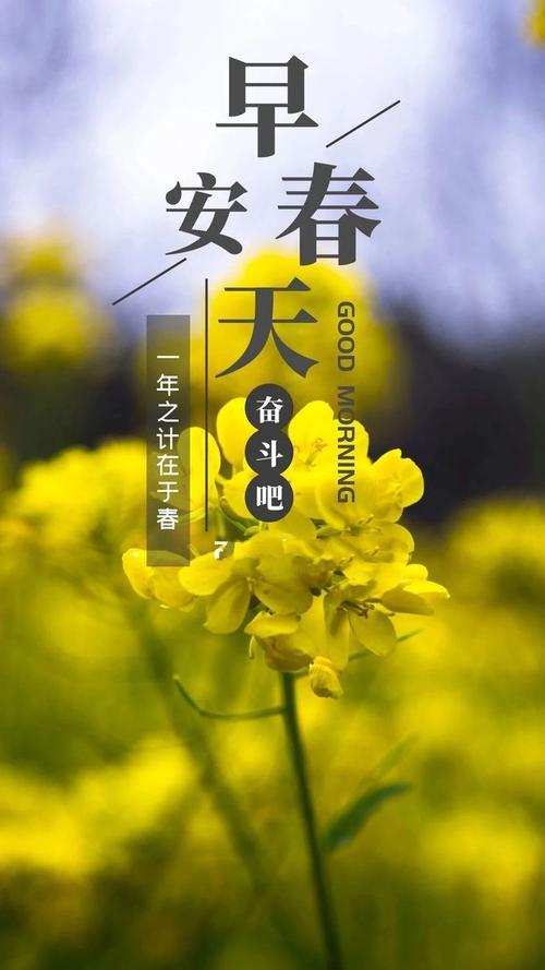 祝福最新的早安图片 早安心语图片2022最新