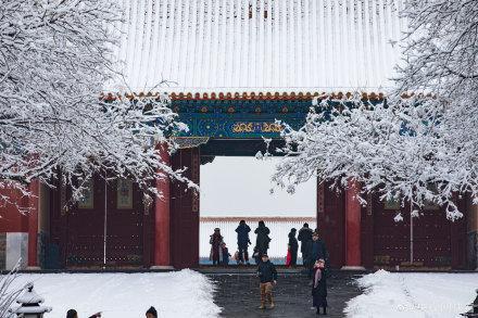 北京初雪 故宫白雪镶红墙