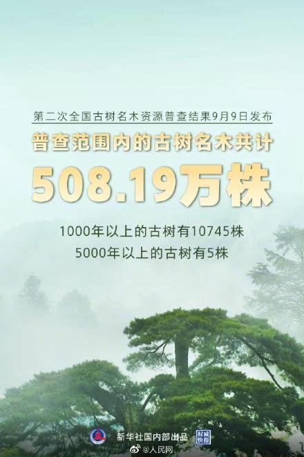 仅有5株5000岁古树,5000年古树