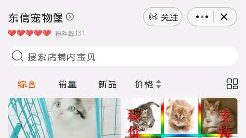 曝光无良淘宝猫贩 大家买猫请谨慎