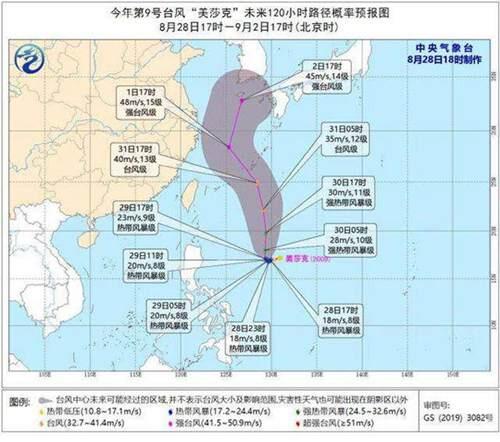 今年第9号台风美莎克生成