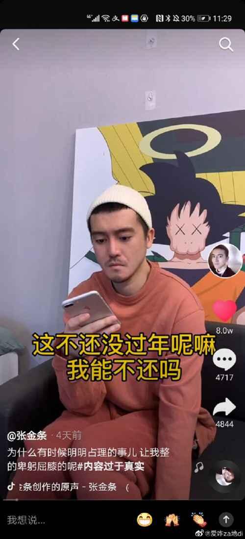 张天野张金条是一个人吗？