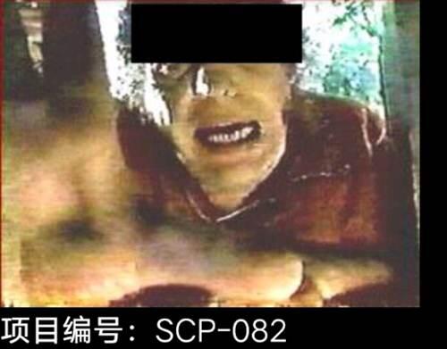 那个神秘的SCP基金会 真的存在吗