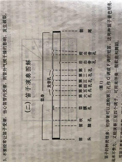 教程 教你从零开始学竹笛