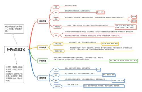 汇总种子的传播方式 十种种子传播方法