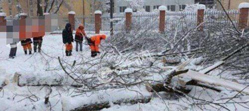 百年难得一遇莫斯科降雪破纪录