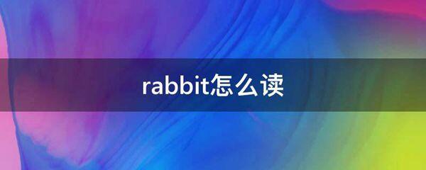 rabbit怎么读