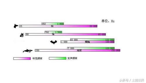 什么是次声波 次声波杀人