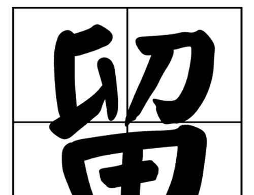 “需要一半，留下一半”打一字谜？