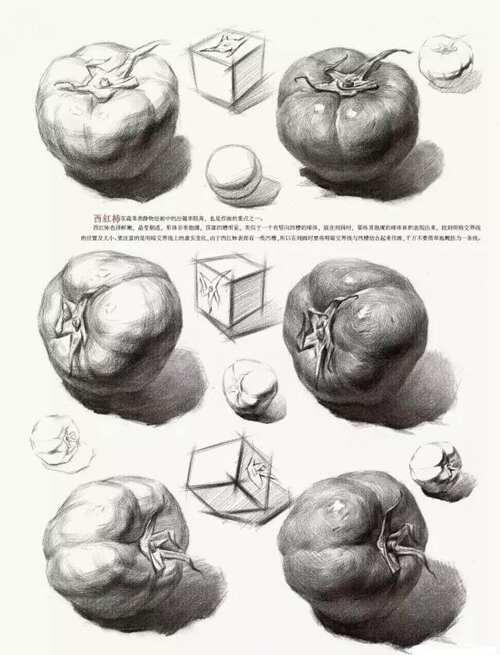 素描干货 单个静物的画法教程 值得收藏