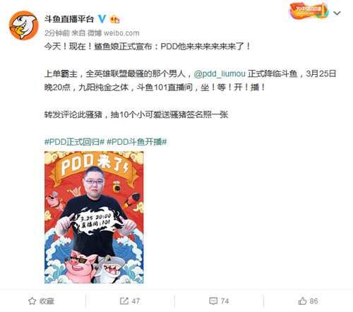 PDD正式入驻斗鱼 你可以在任何地方看到PDD 还有他的直播间