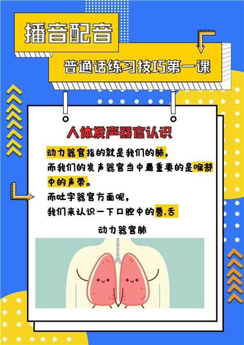 人体发声器官介绍