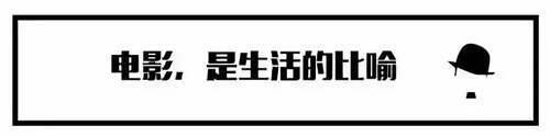 最近很火的尔冬升 你可能不知道他有多全能