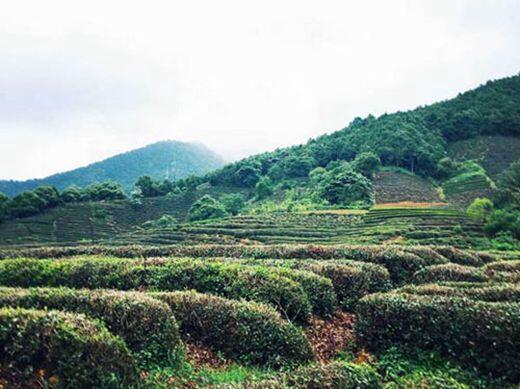 为什么清明节会下雨