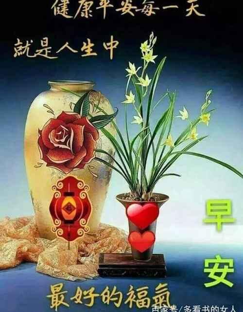 早上好图片大全 最美的图片