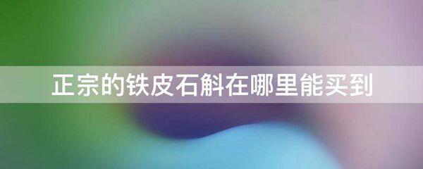 正宗的铁皮石斛在什么地方能买到