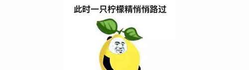 柠檬精是什么意思？