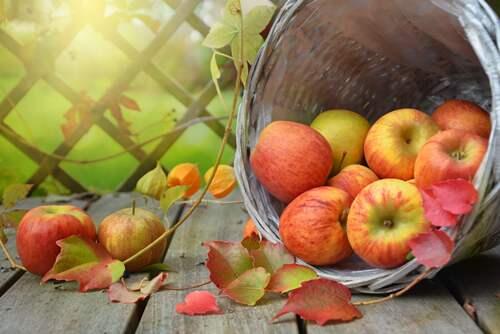 女孩英文名叫Apple 是因为爱吃苹果派吗 各式苹果派大汇总