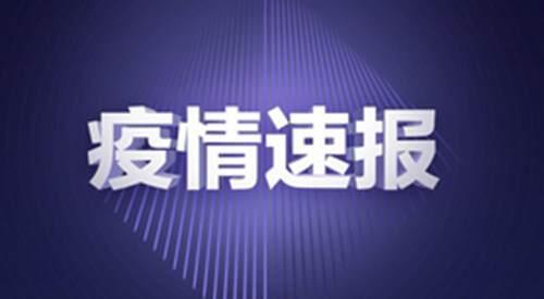 31省份新增确诊病例11例其中本土病例8例