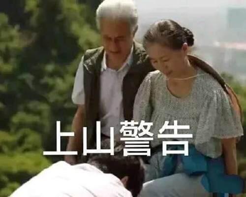 一起爬山吗是什么梗