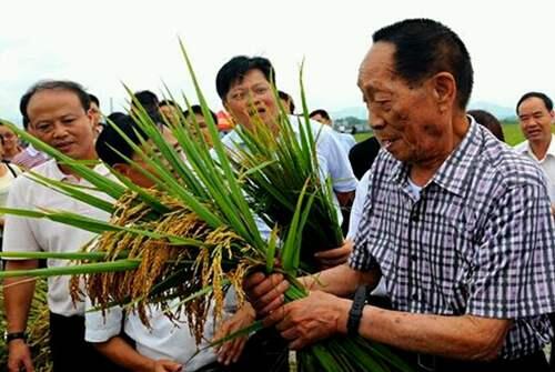 袁隆平国士无双