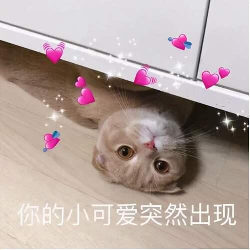 JK名词科普 jk是什么意思