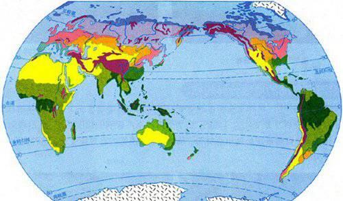 大陆自然带种类最多的大洲是北美洲