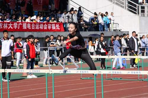 运动摄影 运动会 篮球赛等体育运动怎么拍