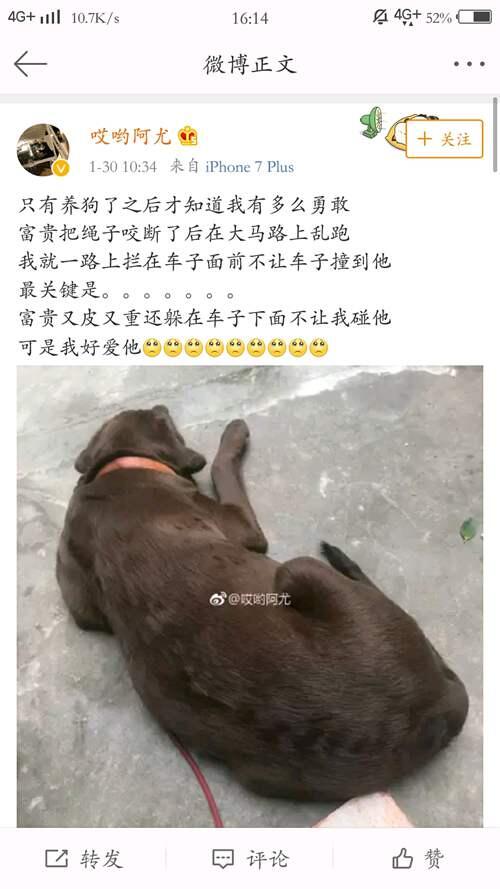 一些关于b站up 哎哟阿尤 的事