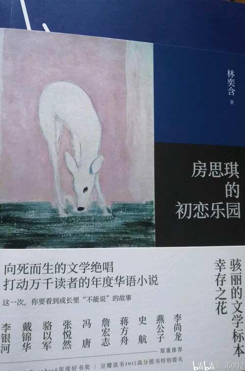 房思琪的初恋乐园 原文摘抄与感悟