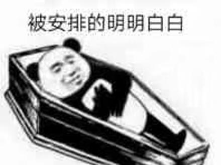 安排是什么梗