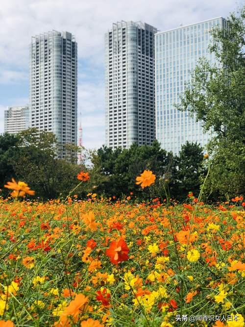 朗郡庭园排屋 滨离宫恩赐庭园