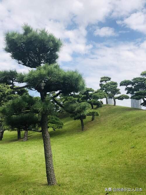 朗郡庭园排屋 滨离宫恩赐庭园