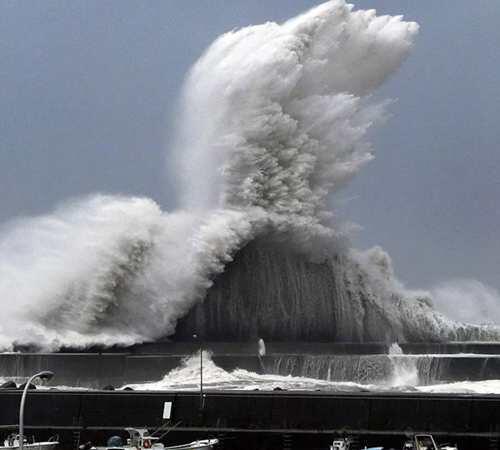 台风预测浙江