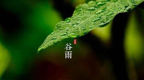 10首谷雨诗词 描写谷雨的古诗4句